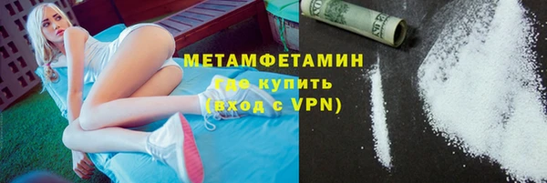 индика Пестово