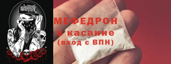 индика Пестово