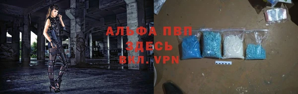 индика Пестово