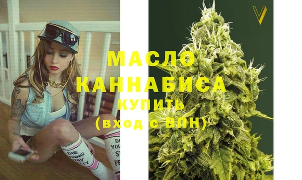 индика Пестово