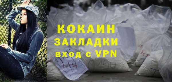индика Пестово