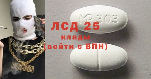 индика Пестово