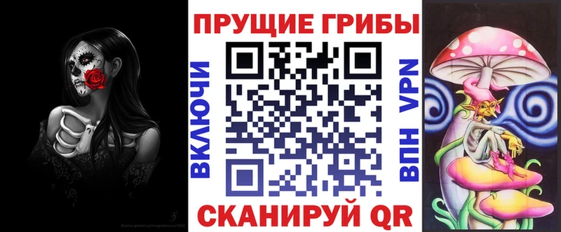 дарк нет Telegram  Семилуки  Псилоцибиновые грибы ЛСД 