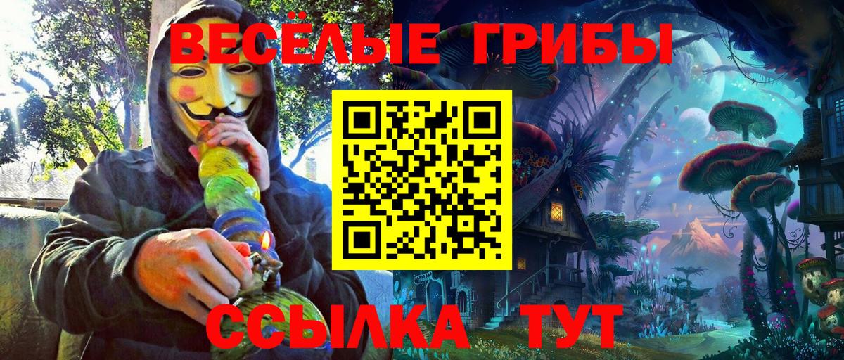 Псилоцибиновые грибы GOLDEN TEACHER Семилуки