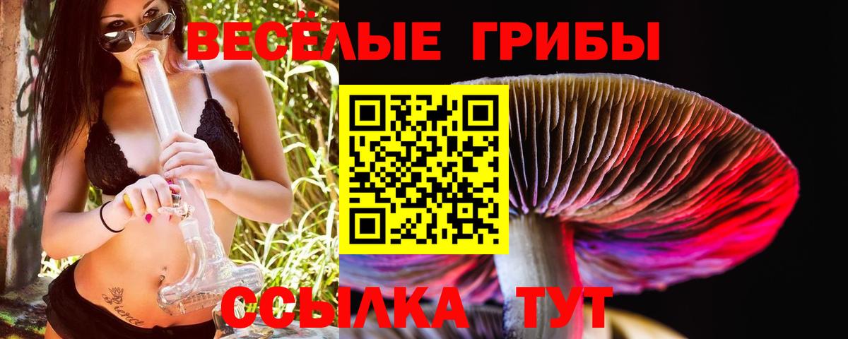 Галлюциногенные грибы GOLDEN TEACHER  Вход с VPN  Семилуки 
