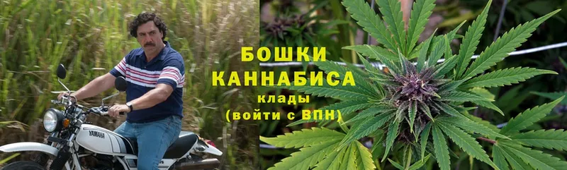 гидра ONION  Семилуки  Конопля White Widow 